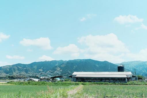 豊かな自然と牛舎 豊かな自然と牛舎 風景,自然,景色の写真素材