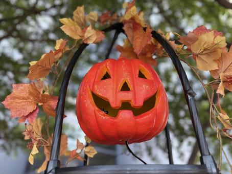 ハロウィンの飾り-かぼちゃ ハロウィンの飾り-かぼちゃの写真