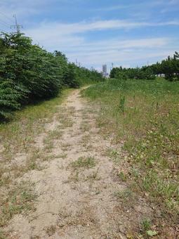 須磨海岸 神戸市,神戸市須磨区,海辺の写真素材