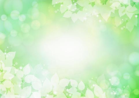 Leaf background / frame, JPG Leaf background / frame, frame, summer, leaf, JPG