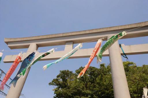 鳥居と鯉のぼり 鳥居と鯉のぼり 鳥居,鯉のぼり,こいのぼりの写真素材