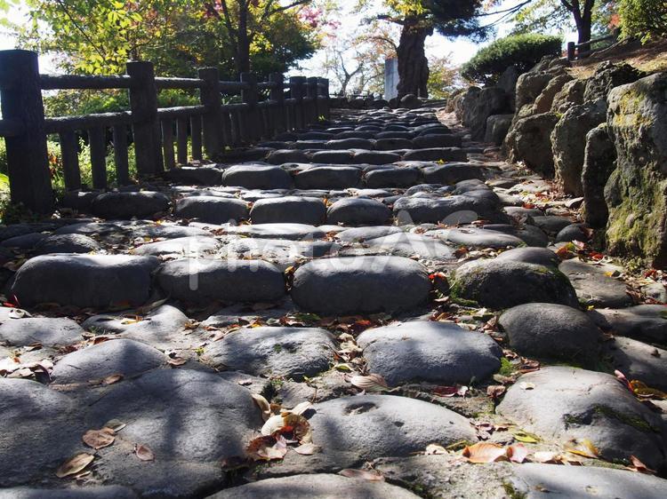 石の階段 ぬれた,何人もありません,公園の写真素材