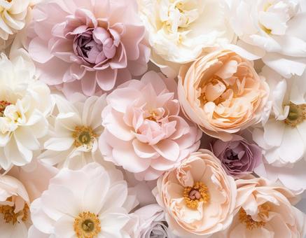 パステル調の花の背景壁紙写真 パステル調の花の背景壁紙写真の写真