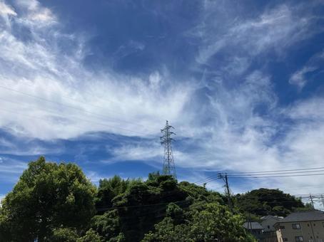 真夏の林と青空 真夏の林と青空の写真