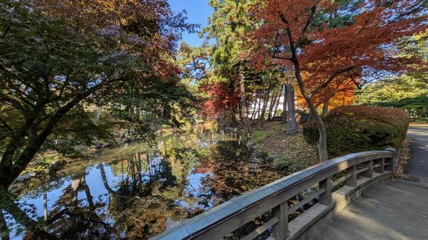 岩手県盛岡市　盛岡城跡公園　紅葉　2 岩手県,盛岡市,盛岡城跡公園の写真素材