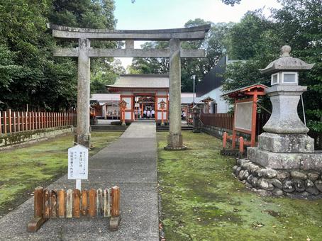 指宿神社の参道(鹿児島県) 指宿神社の参道(鹿児島県) 揖宿神社,指宿神社,鳥居の写真素材