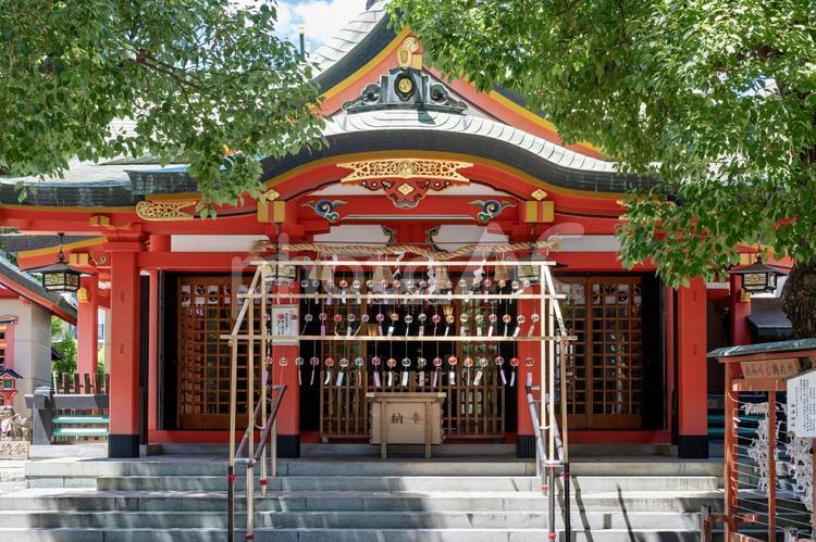 風鈴が並ぶ神社の参拝風景 風鈴,神社,夏の写真素材