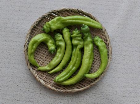 福耳トウガラシ 福耳トウガラシ 野菜,食材,竹ざるの写真素材