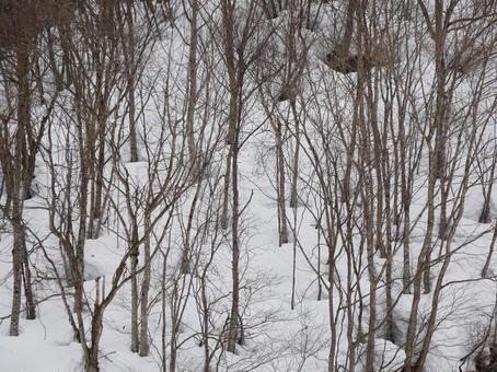雪解けの山肌 雪解けの山肌の写真