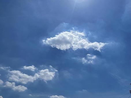 空のさかな 空のさかなの写真