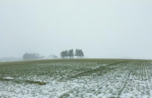 初雪が降った畑 初雪が降った畑 もや,北海道,林の写真素材