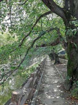 Green Promenade 2, JPG Green Promenade 2, JPG