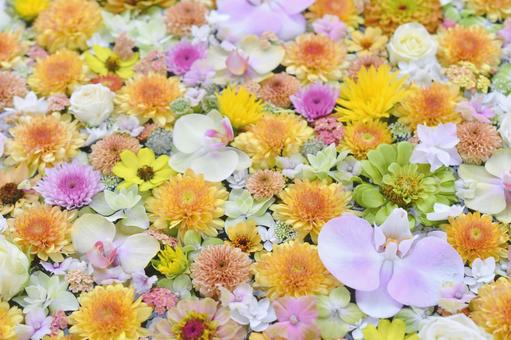 花手水 花手水の写真