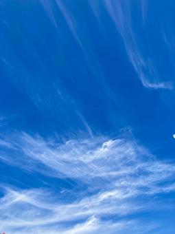 青空と雲 青空と雲の写真