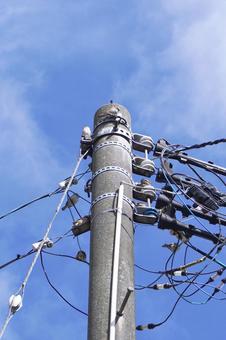 電信柱のとまるスズメの群れ02 すずめ,雀,電信柱の写真素材