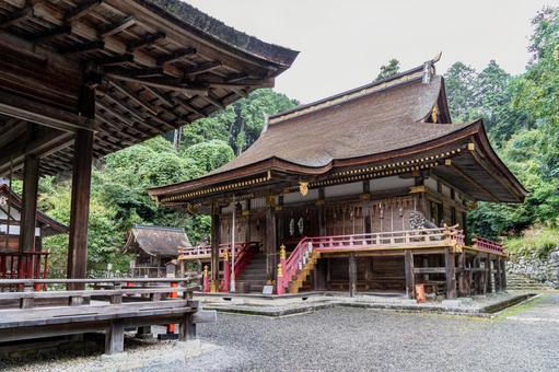 滋賀　日吉大社　東本宮　本殿と拝殿 日吉大社,日枝社,日吉の写真素材