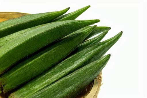 夏野菜のオクラ オクラ,夏野菜,秋葵の写真素材