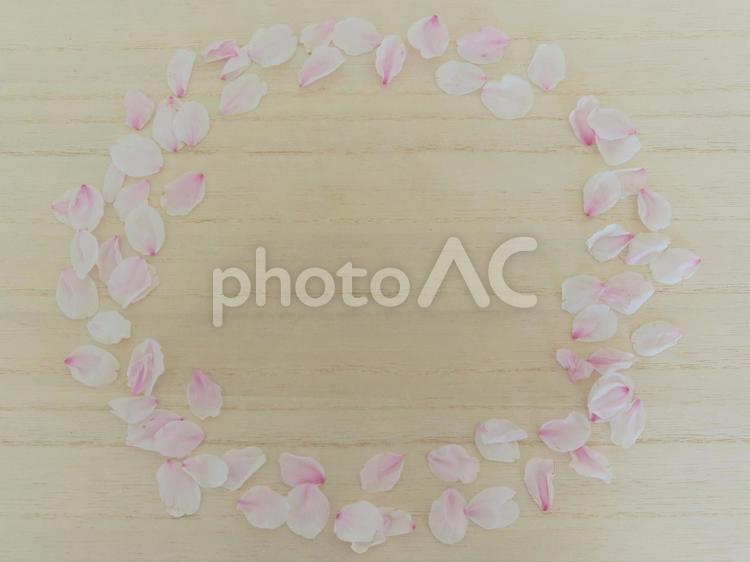 桜花びらのフレーム 桜,さくら,花びらの写真素材