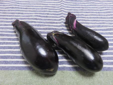 eggplant, JPG
