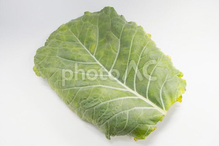   ケール ケール,野菜,青汁の写真素材