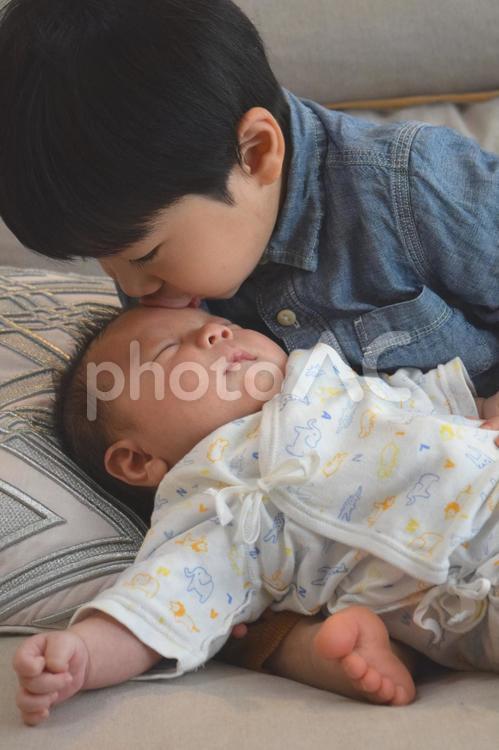 赤ちゃん(男児)大好きお兄ちゃん35日目 赤ちゃん,乳児,男児の写真素材
