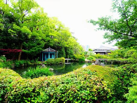 四天王寺本坊庭園 四天王寺本坊庭園 庭園,自然,和の写真素材