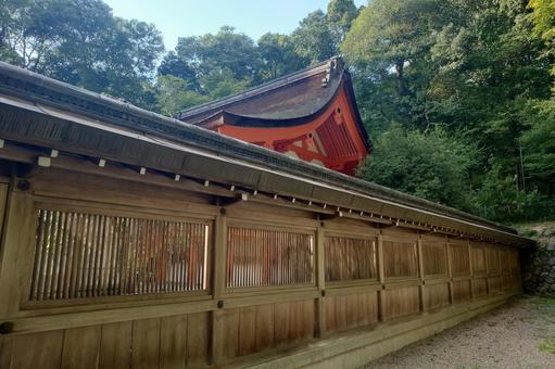 京都府-出雲大神宮-本殿 京都府-出雲大神宮-本殿 出雲大神宮,神社,丹波国の写真素材