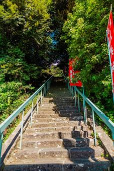 【鳥取】倉吉の土井神社の写真