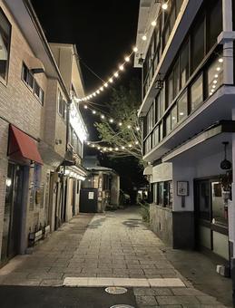 夜の伊香保路地 夜の伊香保路地 旅,群馬県,伊香保温泉の写真素材