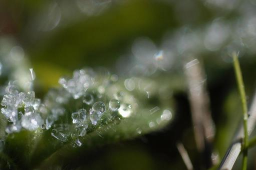 frost, JPG