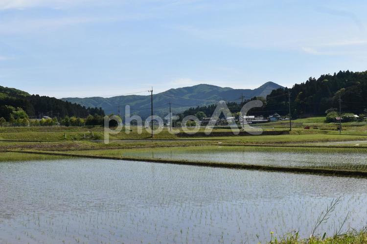 水田と山の背景素材 水田,山,田の写真素材
