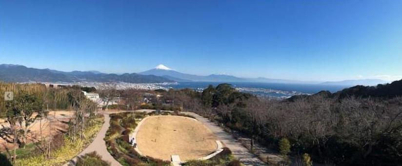 富士山04　日本平から　200113の写真