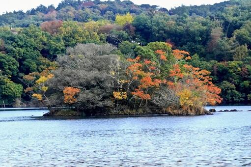 湖の色づき始めた初秋の風 湖面,初秋,色づき始めの写真素材