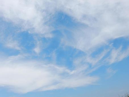 【風景写真】夏空 【風景写真】夏空の写真