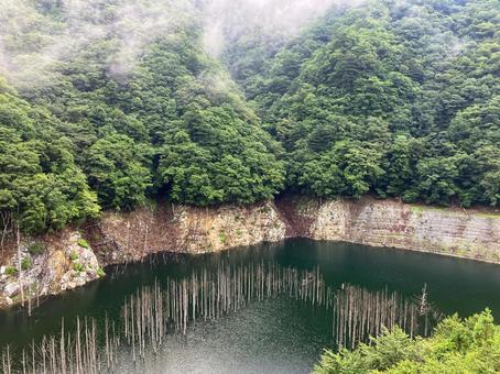 湯西川ダム湖の水没林 栃木県日光市 湯西川ダム湖の水没林 栃木県日光市 湖,ダム湖,夏の写真素材