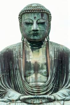 鎌倉 高徳院の大仏(神奈川) 鎌倉 高徳院の大仏(神奈川) 鎌倉,高徳院,大仏の写真素材