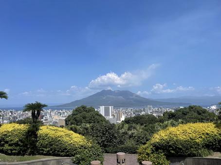 桜島 桜島 山,自然,風景の写真素材