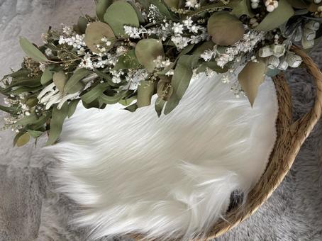 写真撮影　ガーランド ガーランド,写真撮影,写真の写真素材