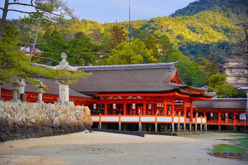 世界遺産宮島の厳島神社 厳島神社,大鳥居,鳥居の写真素材