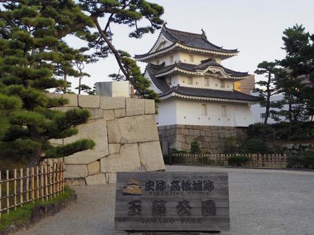 【高知県】高知市・高知城 高知城,高知公園,天守閣の写真素材