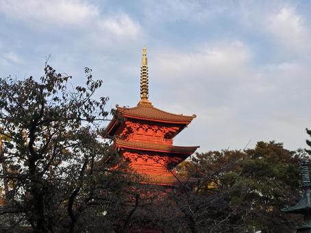 千葉県-法華経寺-五重塔 法華経寺,寺,正中山の写真素材