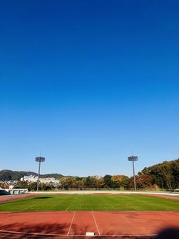 運動場 青空,競技場,ラグビーの写真素材