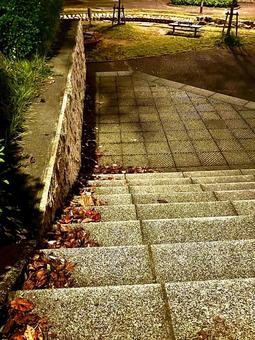 階段 階段,夜道,趣きの写真素材