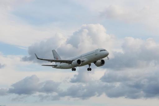福岡空港に着陸する飛行機の風景 福岡空港に着陸する飛行機の風景の写真
