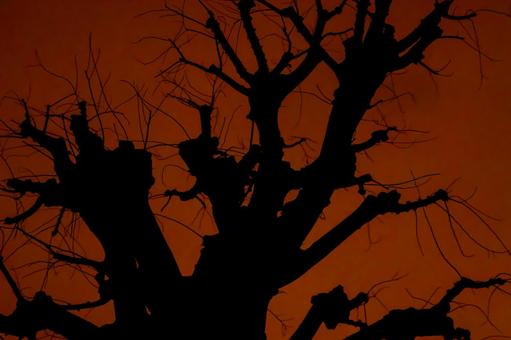 Horror material, JPG Horror material, JPG