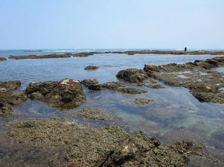磯の風景 磯の風景 海,磯,潮溜まりの写真素材