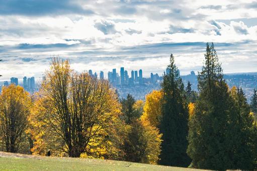 美しい紅葉の秋晴れの日　　　カナダ 紅葉,秋晴れ,美しいの写真素材