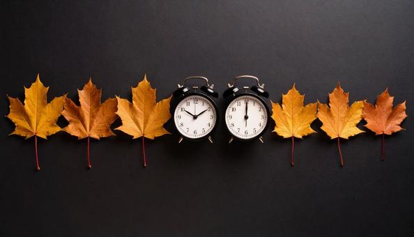 落葉のタイムライン 落葉のタイムラインの写真