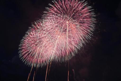 長岡花火2025 長岡花火,2025,長岡の写真素材