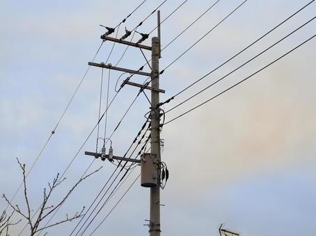 大切なライフライン・電柱 大切なライフライン・電柱 電柱,電線,ケーブルの写真素材